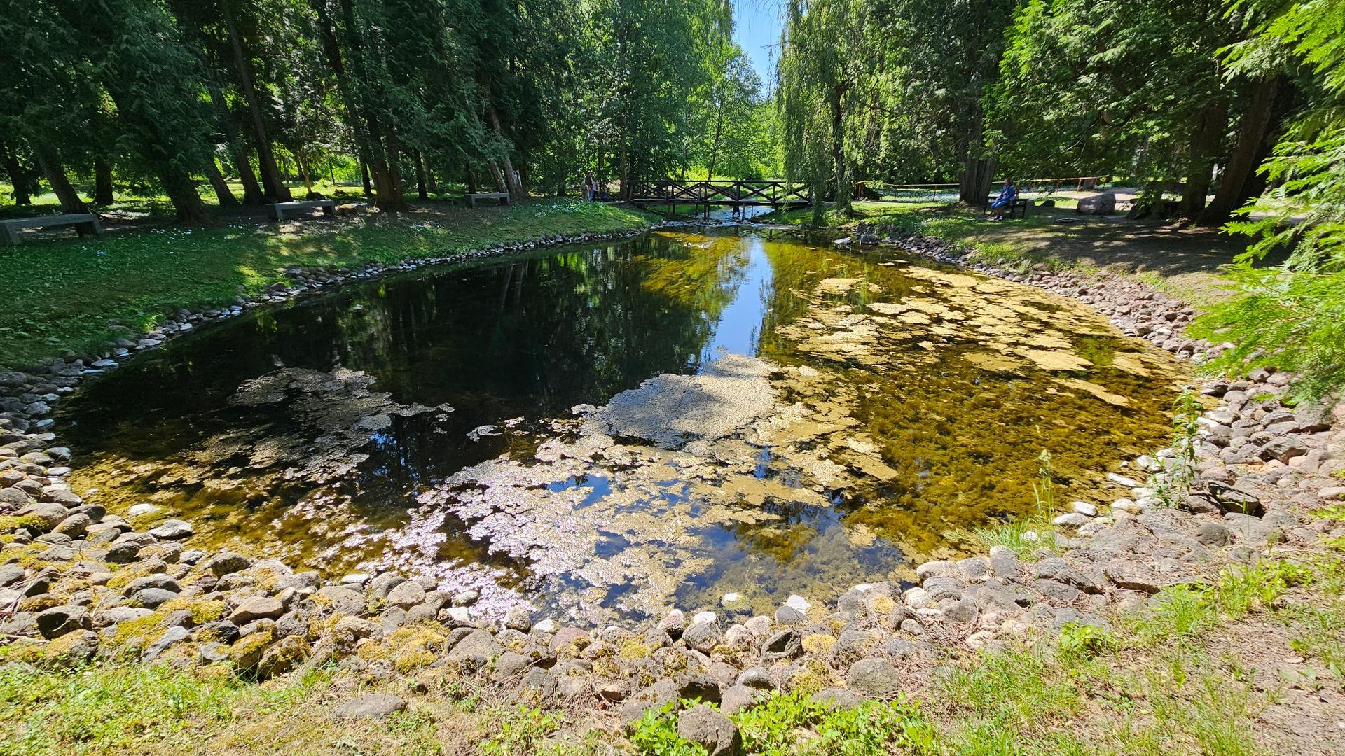 Smardonės šaltinis