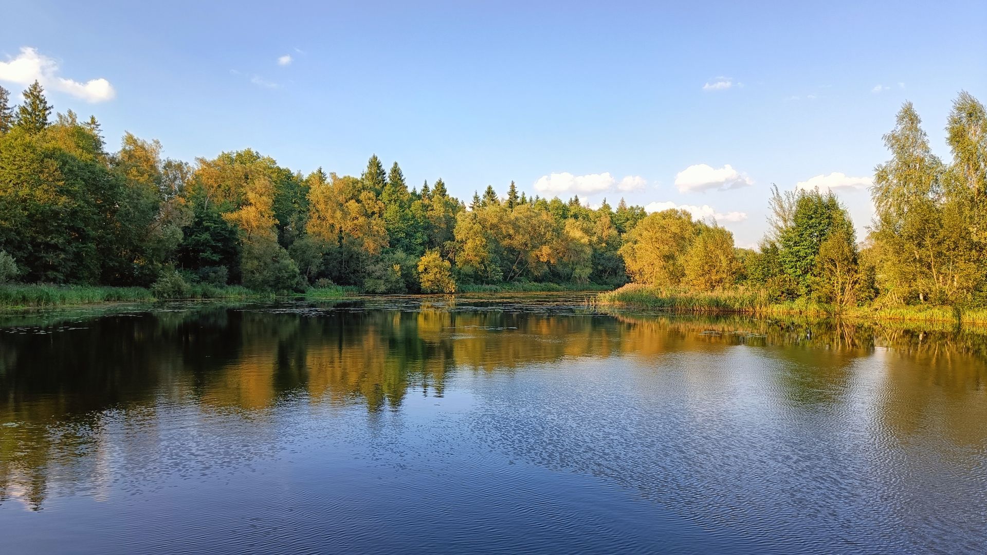 Markutiškiai Manor Park