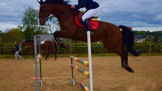 Lentvaris Stud Farm