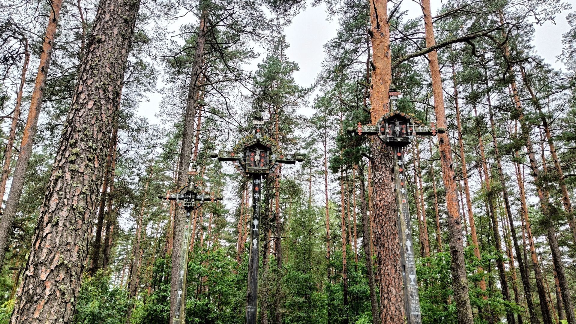 Mančiagirė