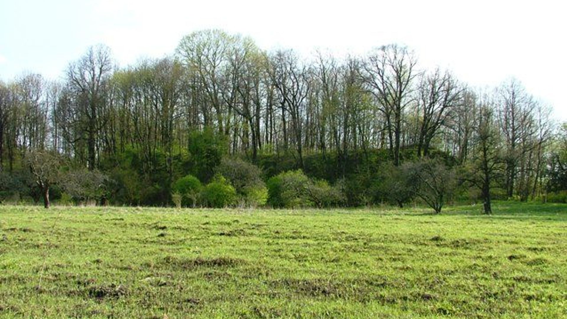 Lakinskai Mound