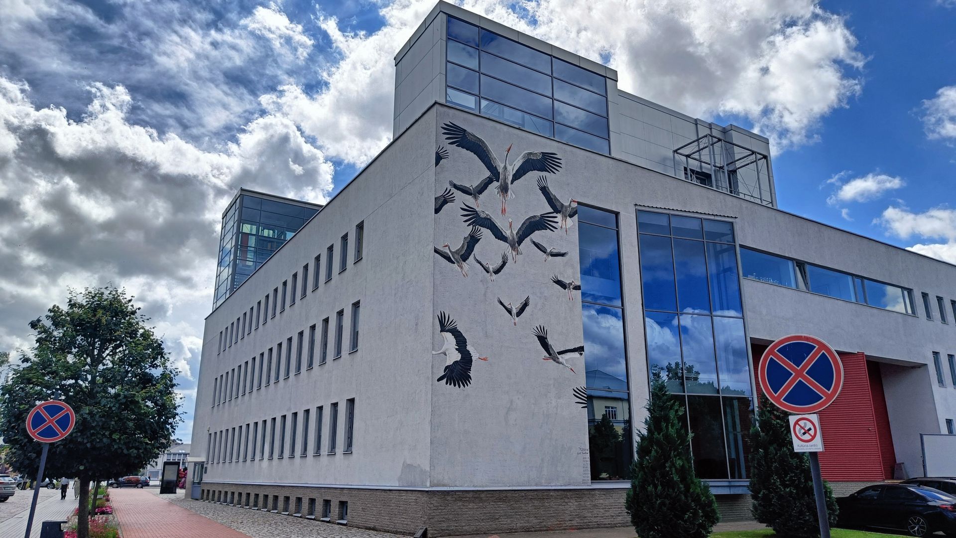 Mural Flock VII