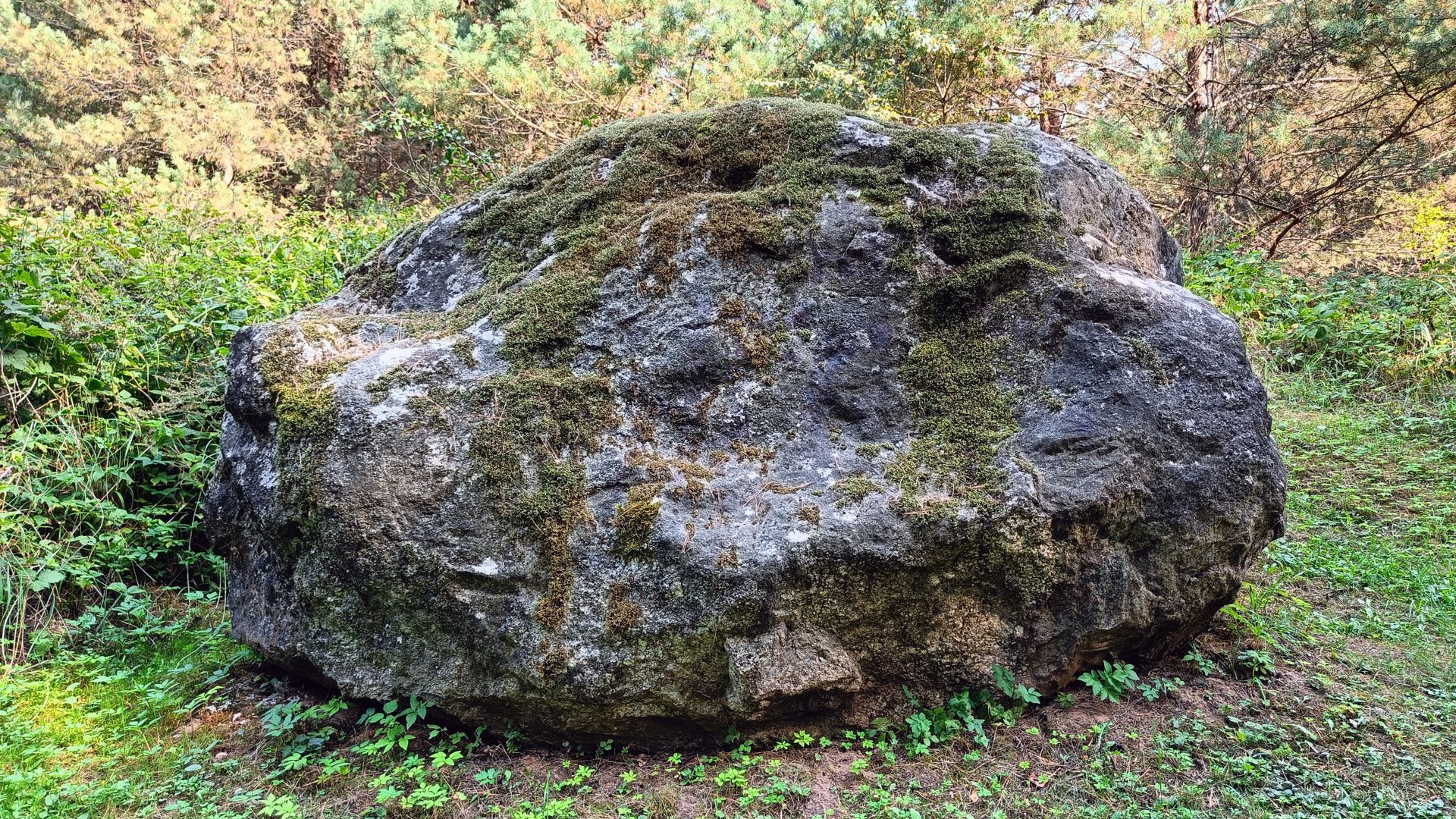 Fairy Boulder