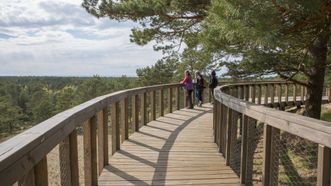 Avikalnis Observation Deck