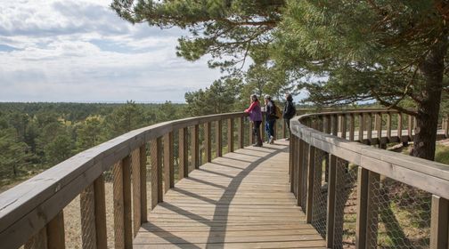 Avikalnis Observation Deck