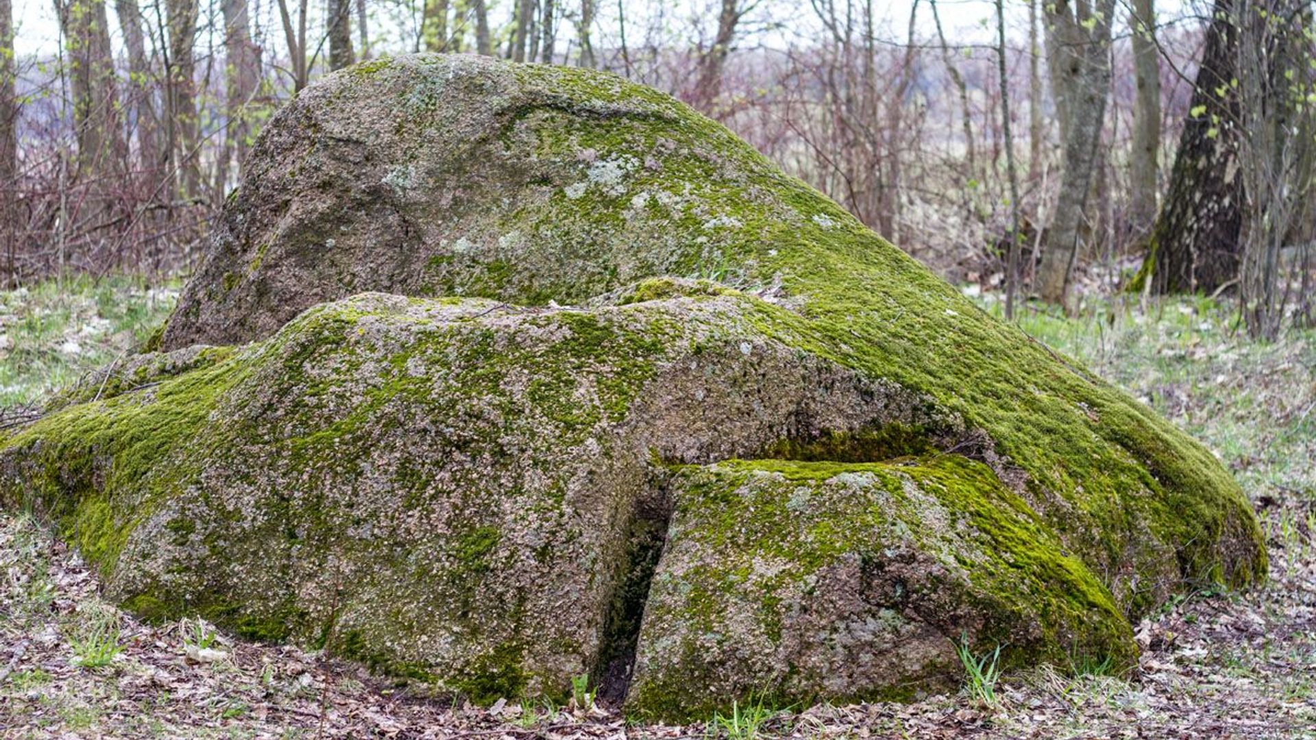 Laukagalis Boulder