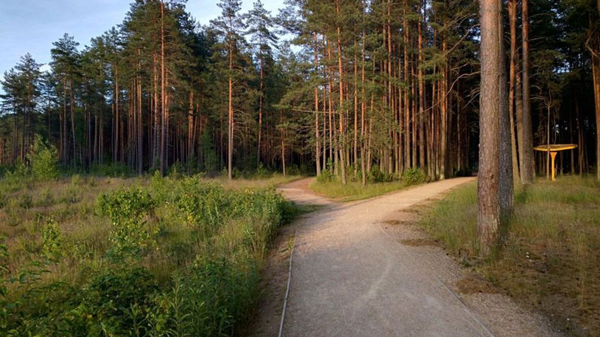 Žiežulis Trail