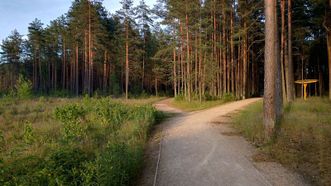 Žiežulis Trail