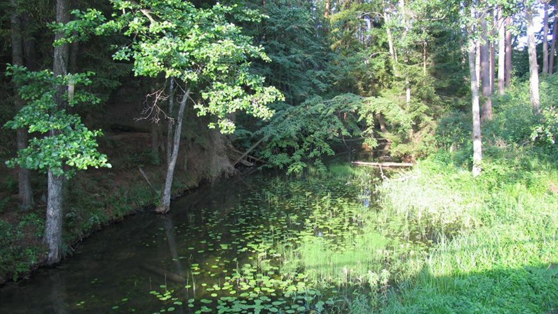 Spindžius and Spindžiukas Lakes Channel