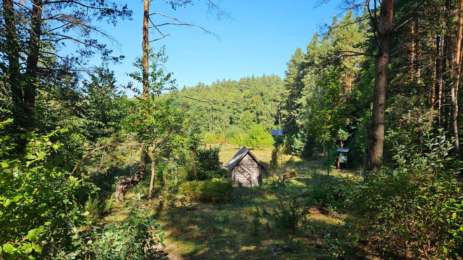 Retųjų ir vaistinių augalų ekspozicija