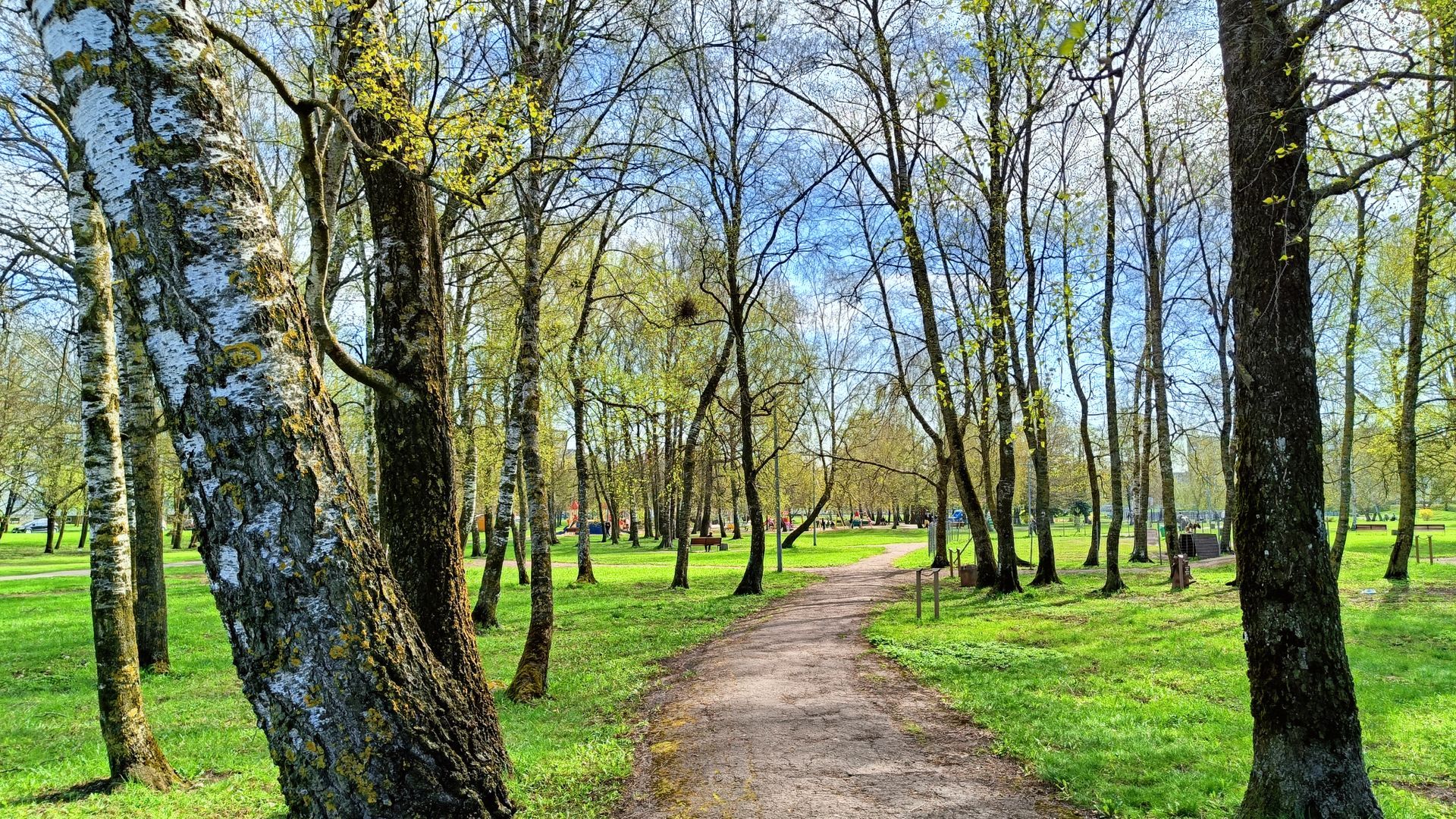 Childrens Play Park