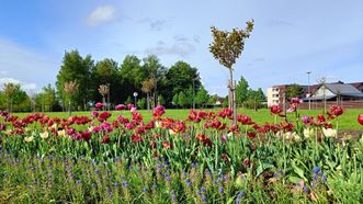 Kalvarija Sakura Park