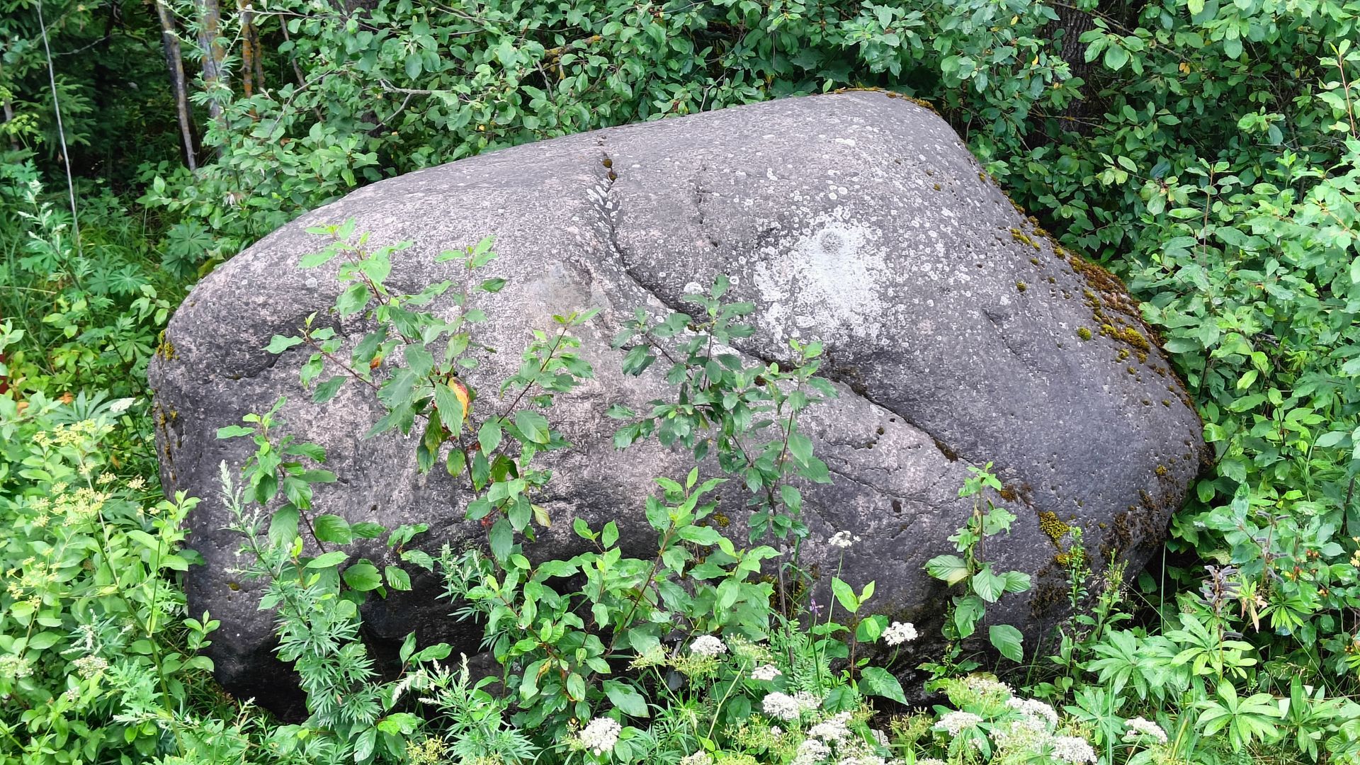 Kalviai Boulder