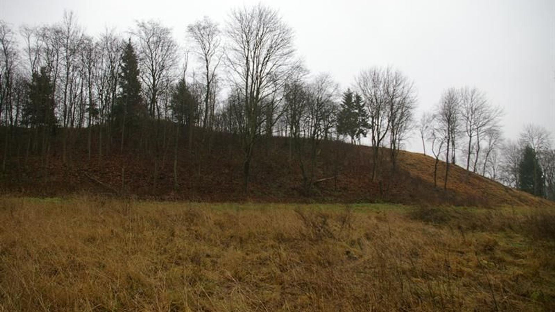 Kalnaberžė Mound