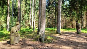 Kazlų Rūda Forest Trail