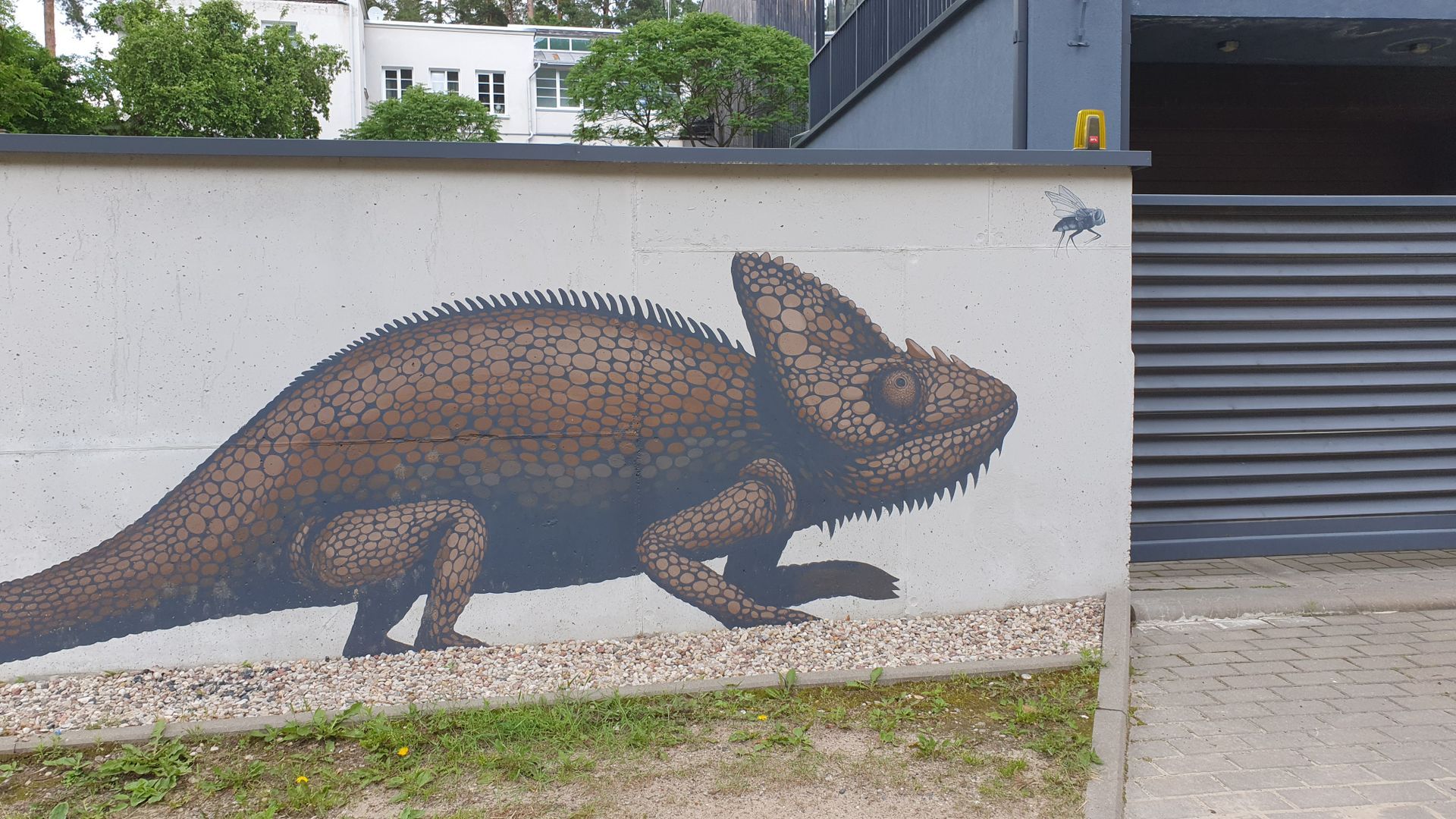 Mural Chameleon