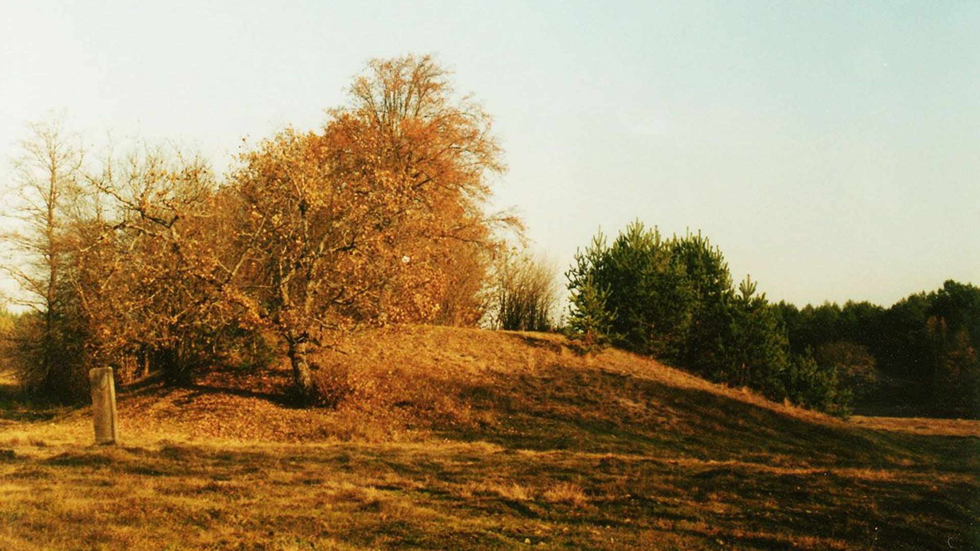 Tetervinų piliakalnis