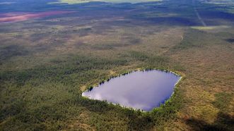 Mūša Swamp and Miknaičiai Lake