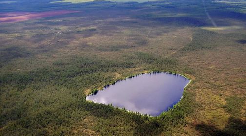 Mūša Swamp and Miknaičiai Lake