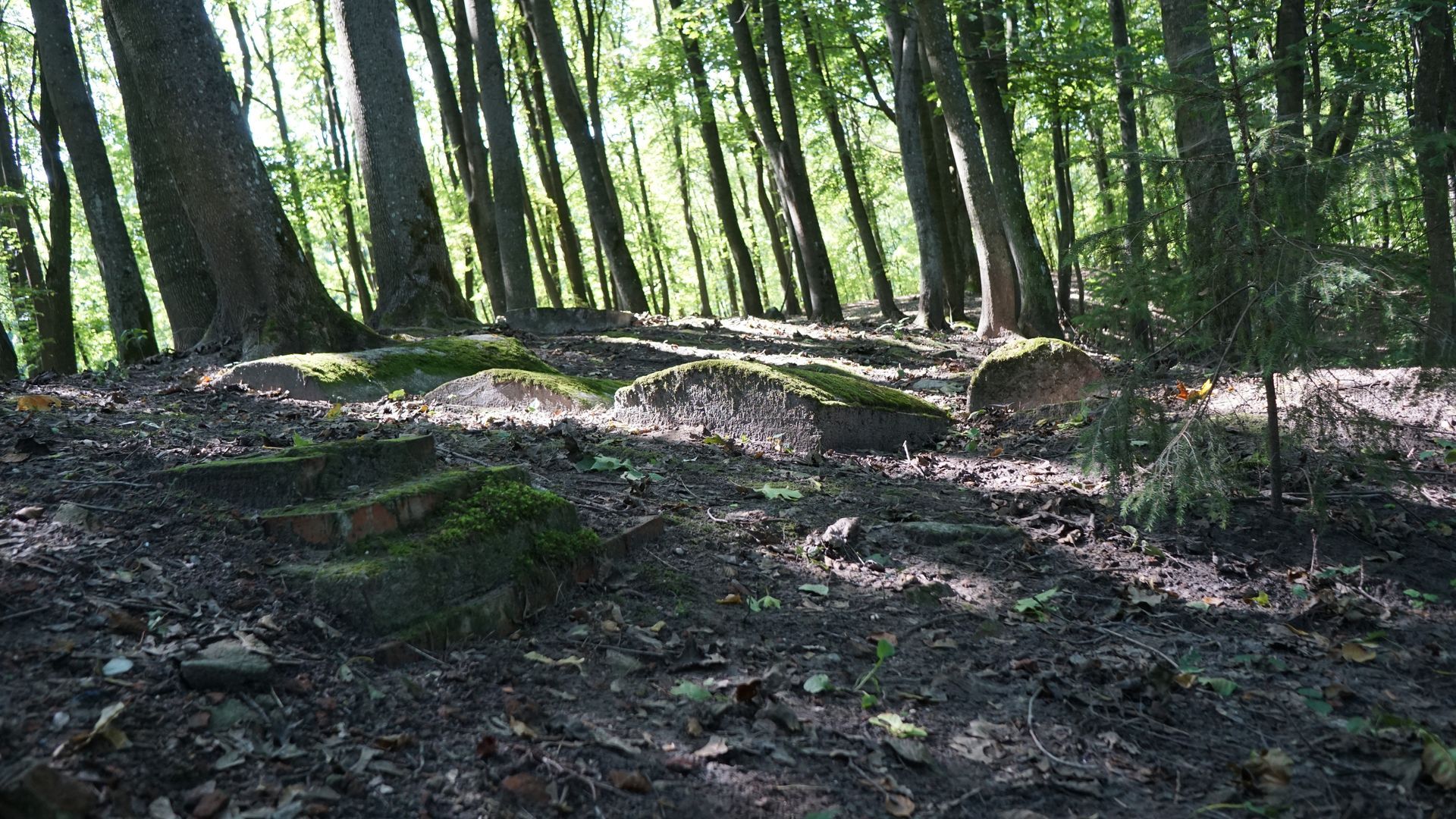 Liudvinavas Old Jewish Cemetery