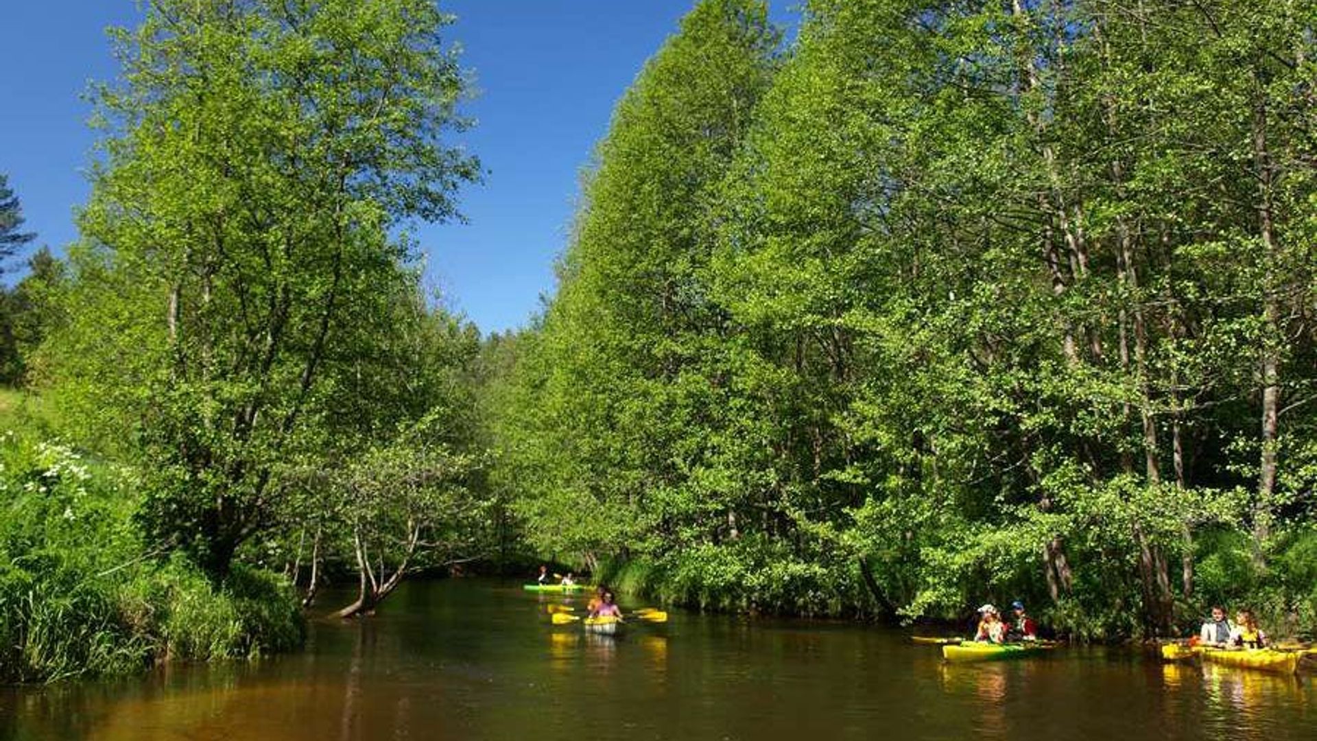 Ūlos vaga Kayaks Rental