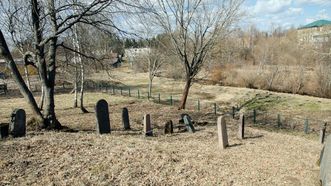 Skaudvilės senosios žydų kapinės