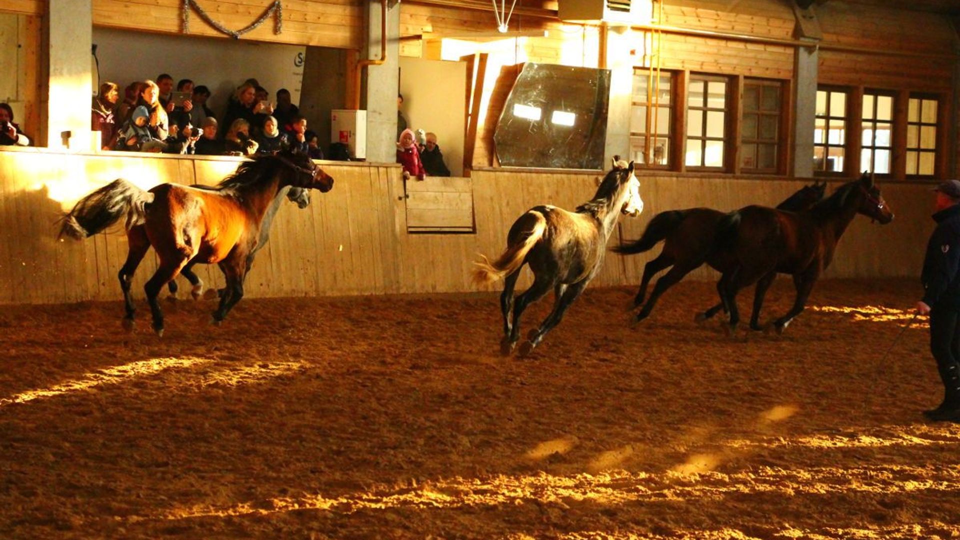 Kurtuvėnai Manor Stud Farm