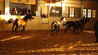 Kurtuvėnai Manor Stud Farm