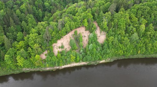 Andruškonių atodanga