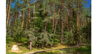 Baltojo kalno tako poilsiavietė