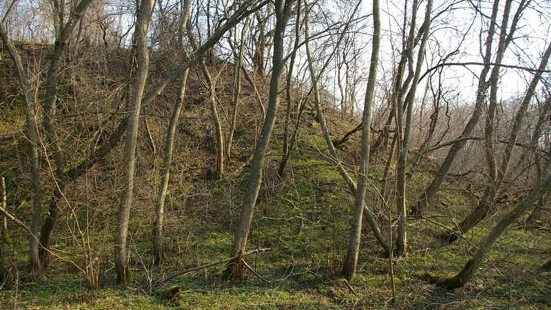 Vaidatoniai Mound