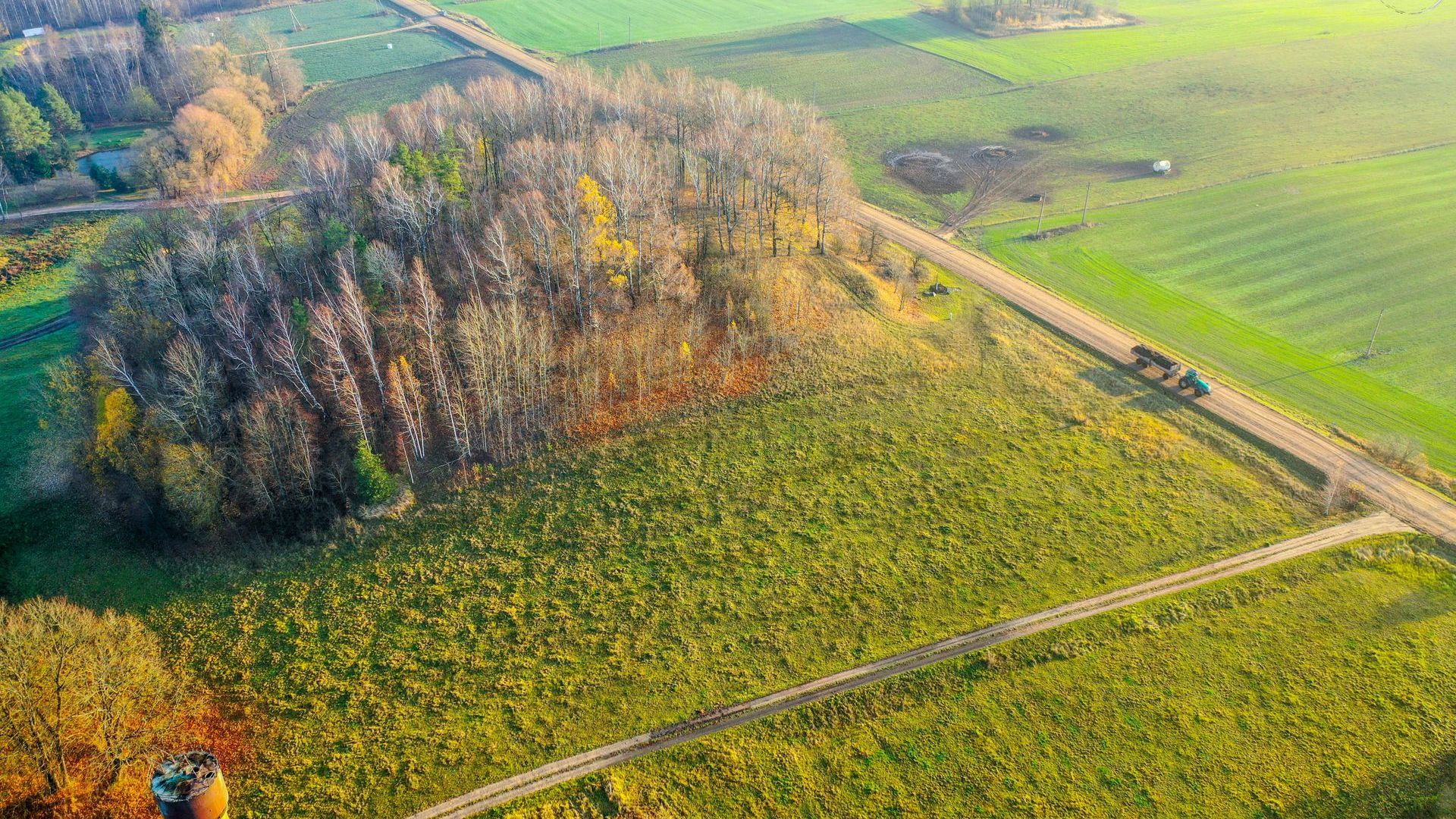 Papilių piliakalnis