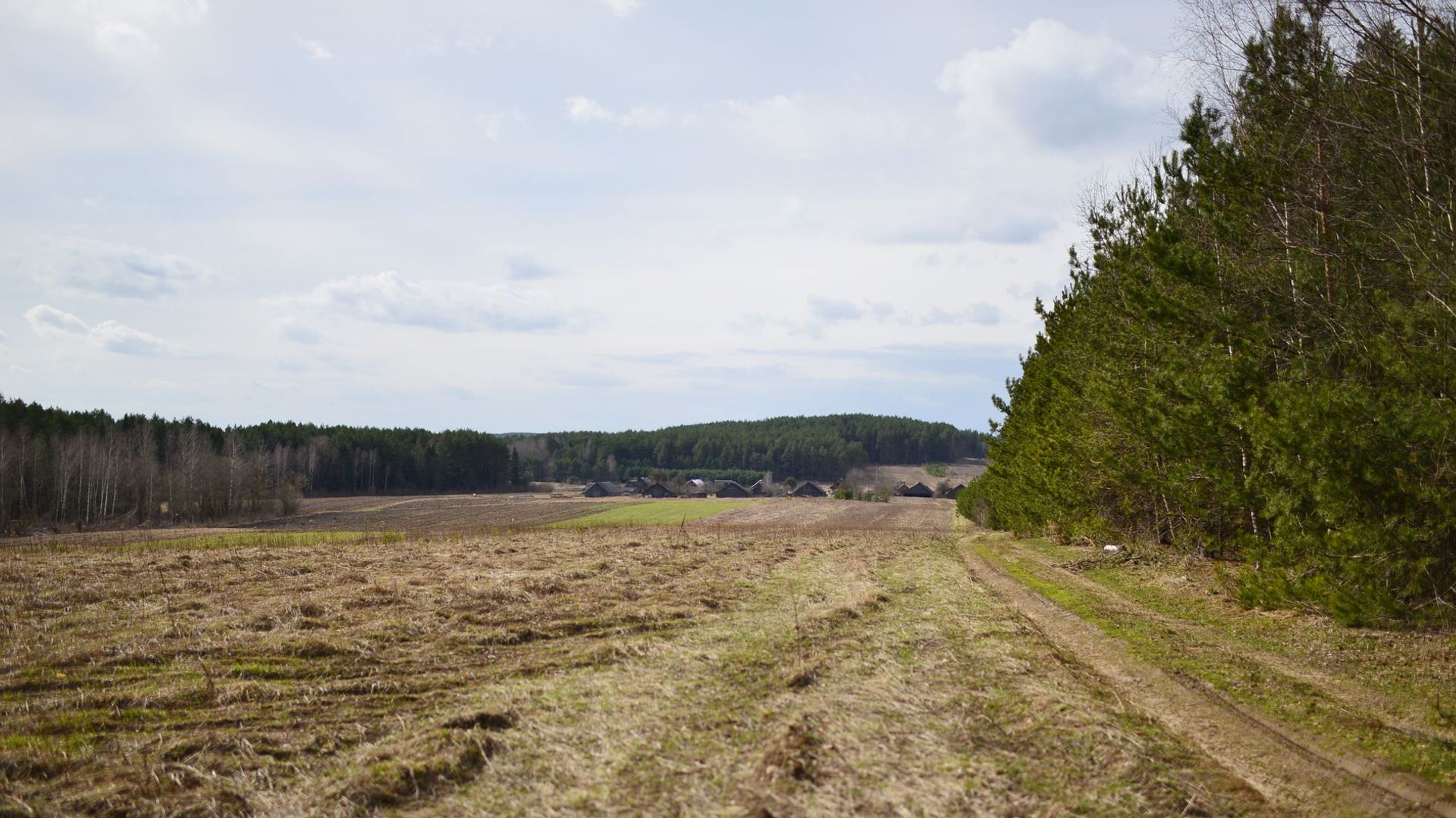 Grybiškių kaimo panorama