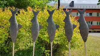 Sculpture Jurbarkas Region Vimba Bream Fish Fest