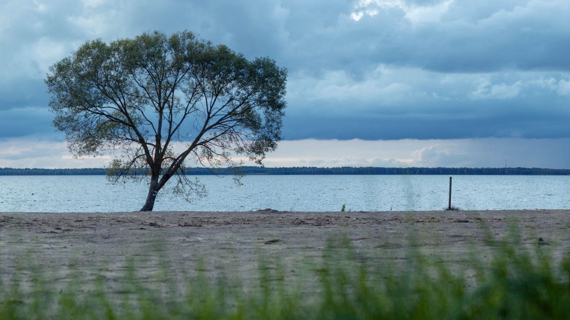 Rėkyva Beach