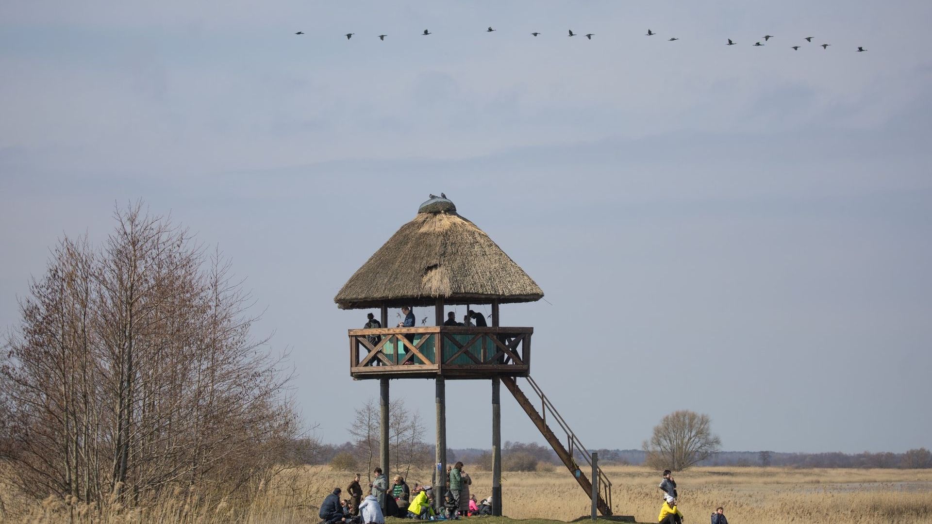 Rusnė Observation Deck