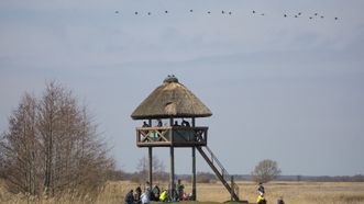 Rusnė Observation Deck