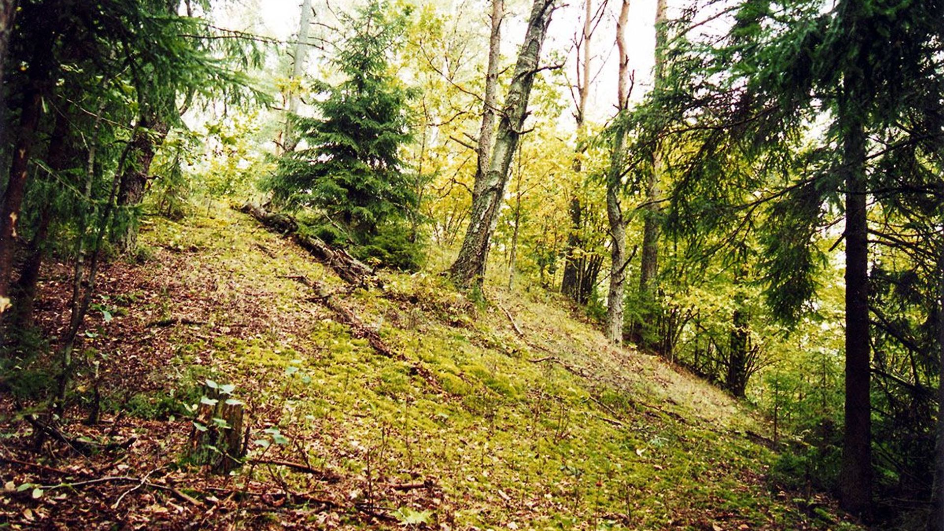 Strakšiškė Mound