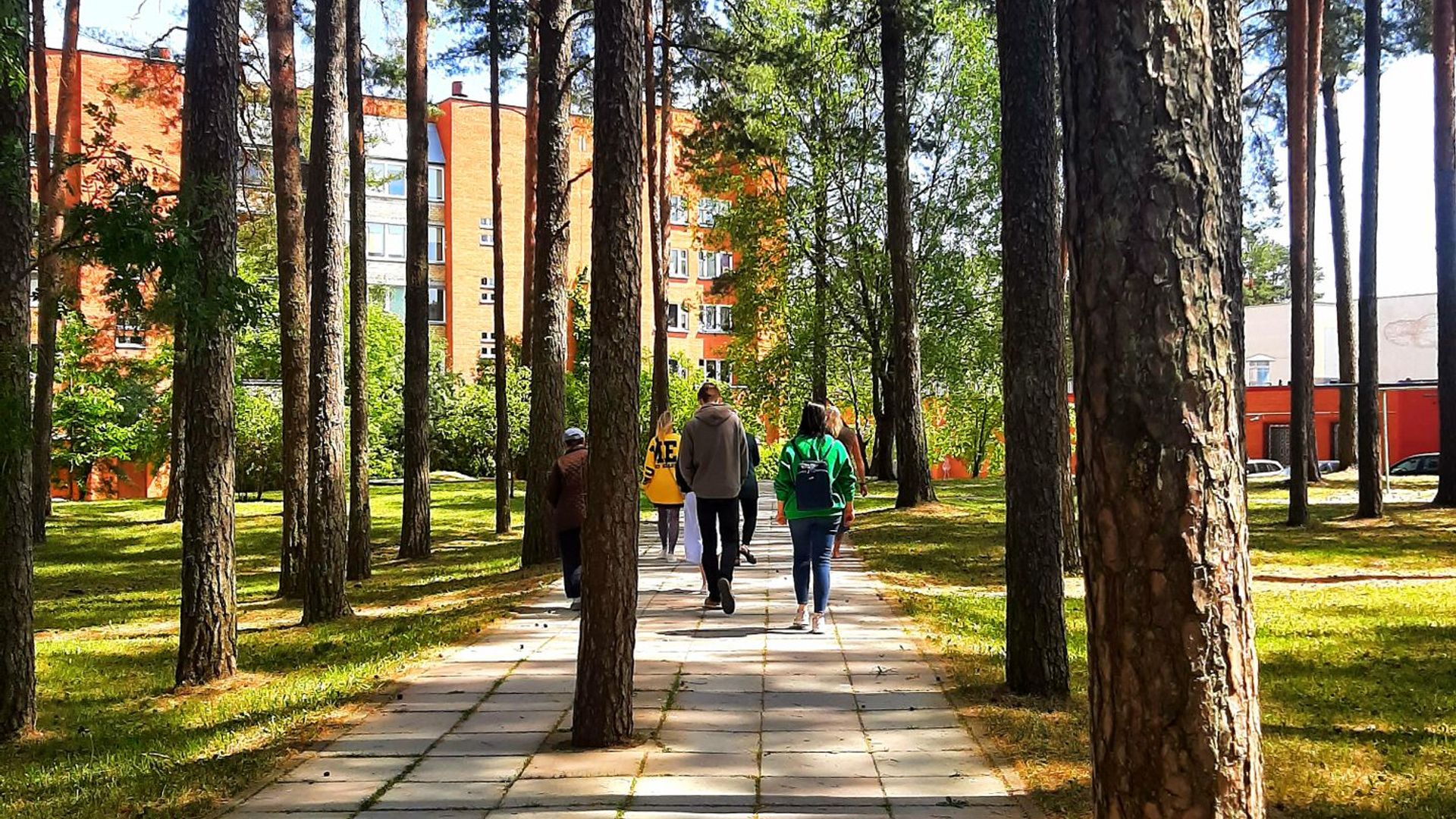 City in Forest - Forest in City