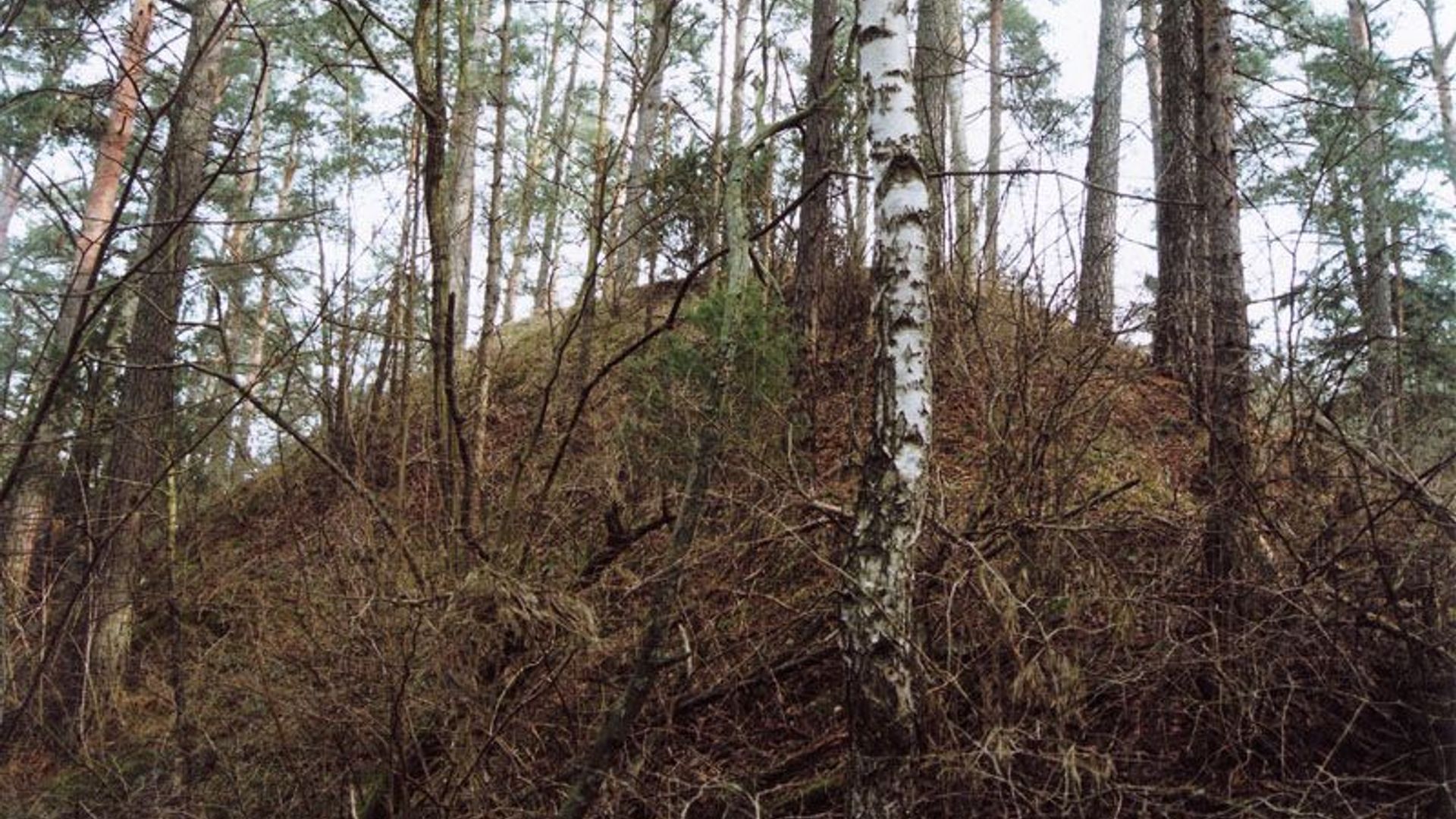 Nemunaitis Mound