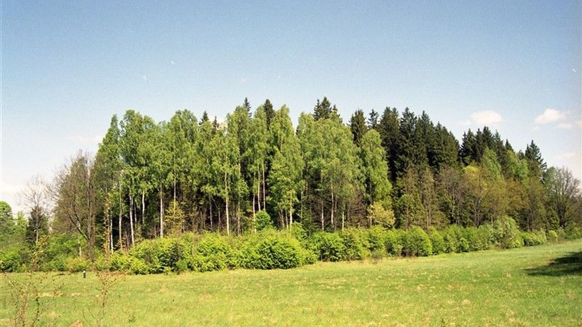 Kreiviai Mound