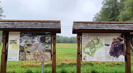Bison Paddock of Dzūkija National Park