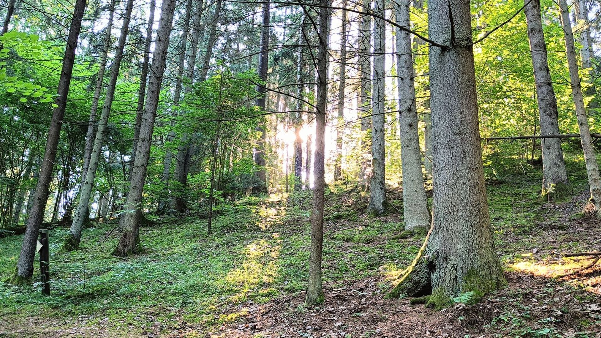 Plokščiai Mound