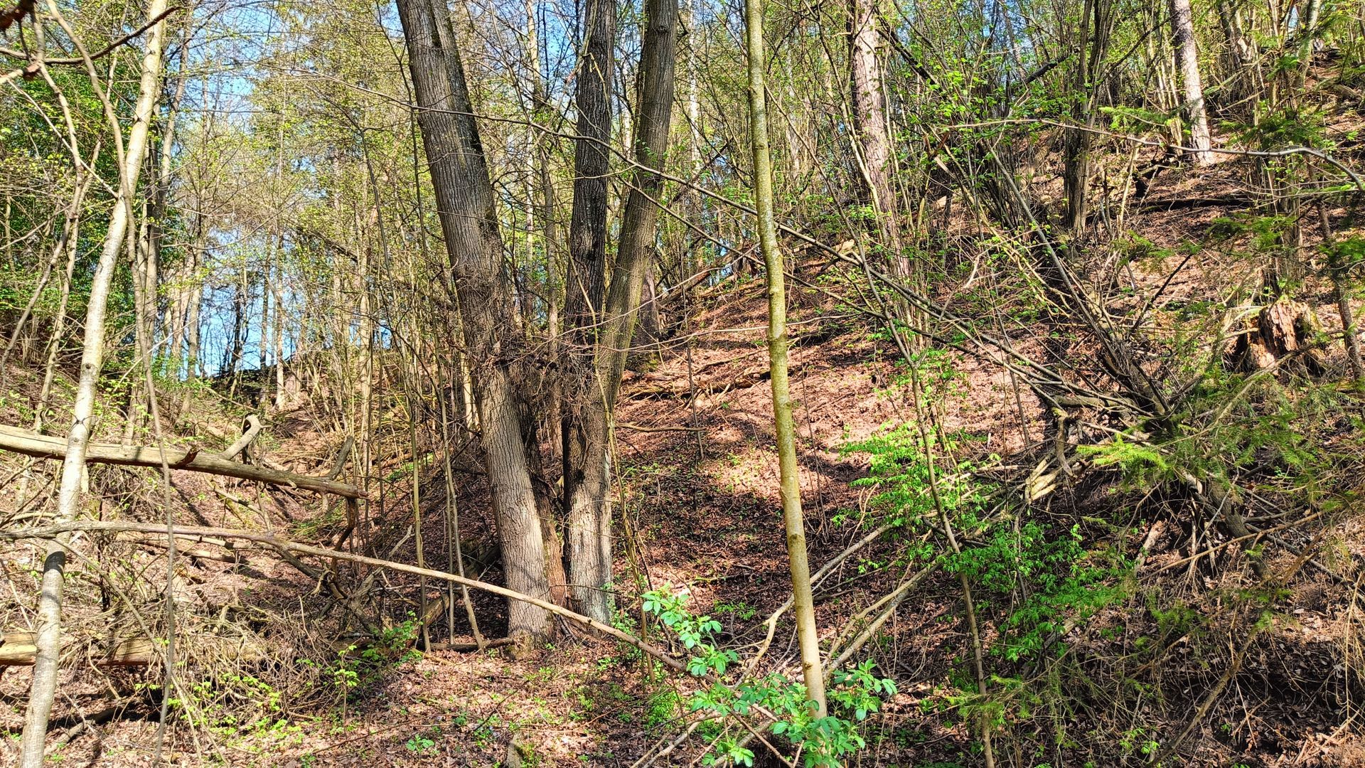 Pašventupys II Mound
