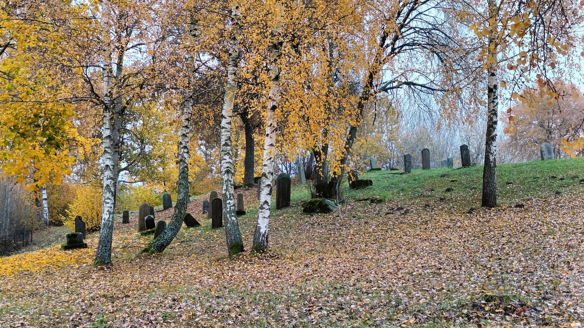 Skaudvilės senosios žydų kapinės