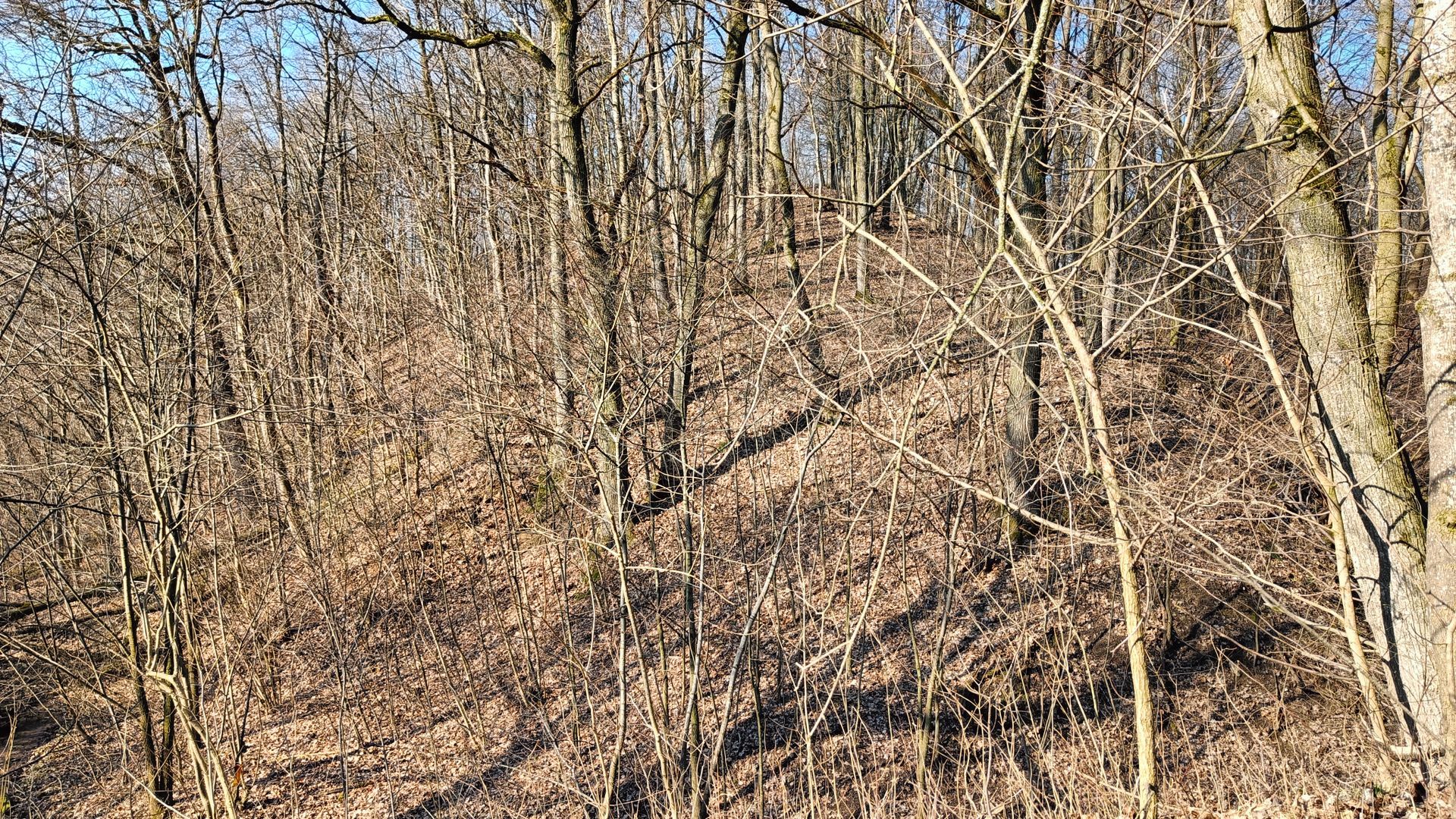 Gudžioniai Mound