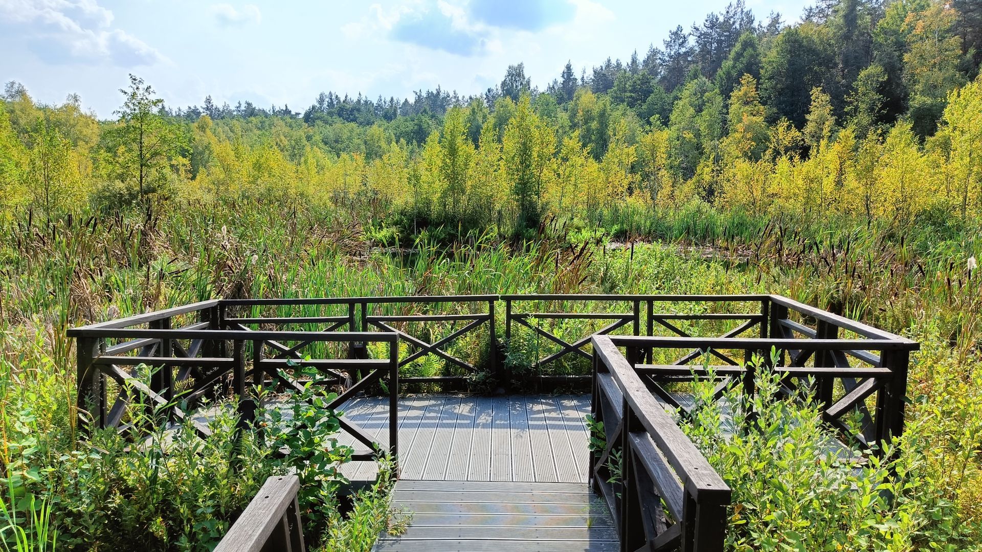 High Marsh Observation Deck