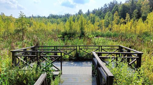 High Marsh Observation Deck