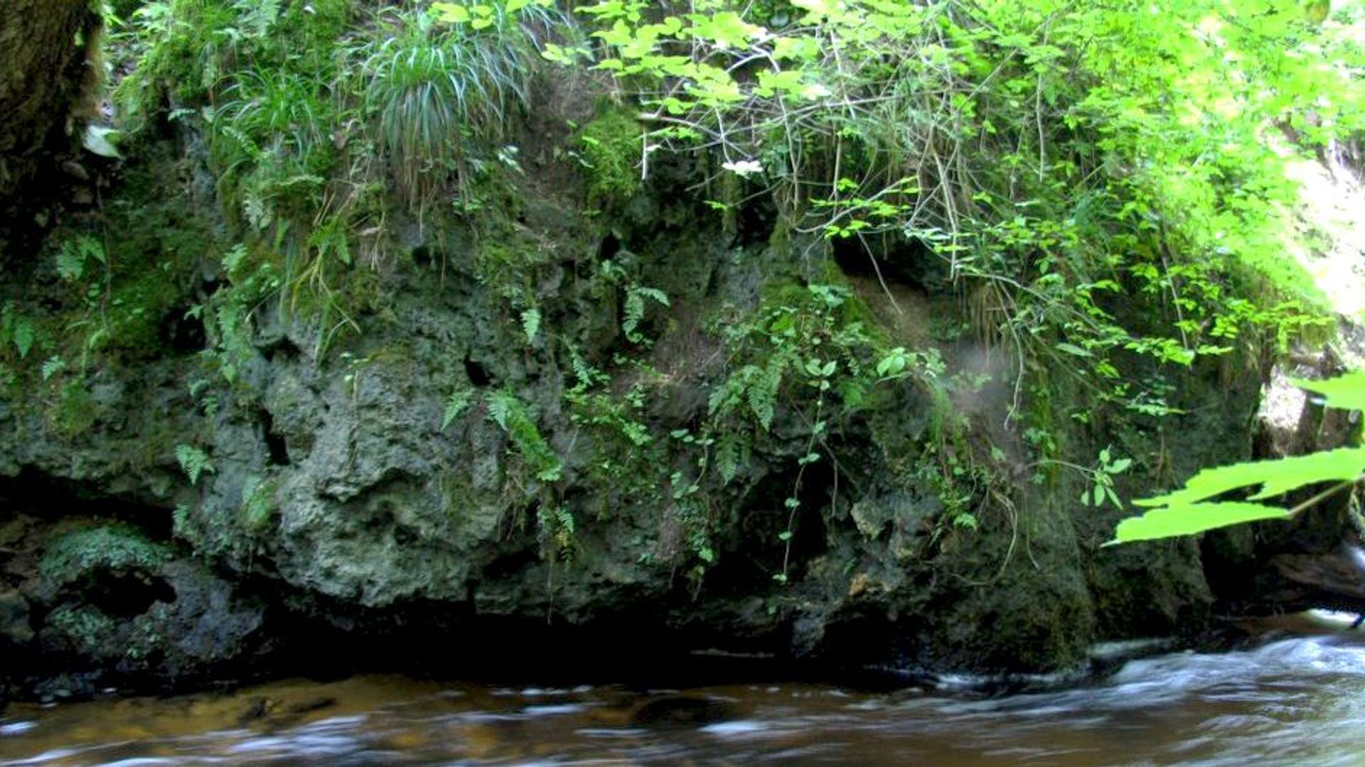 Bražuolė Exposure of Tuff