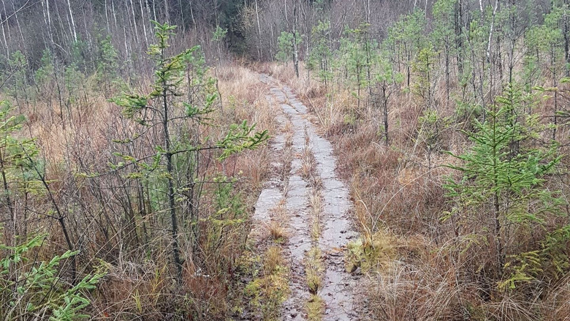 Trakas Forest Nature Trail